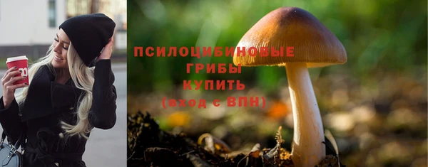 хмурый Арсеньев