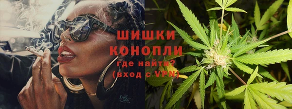 амф Новодвинск