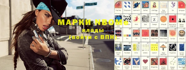 хмурый Арсеньев